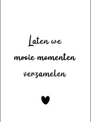 Låt oss vara vackra för wholesale av Gewoon ZieZo