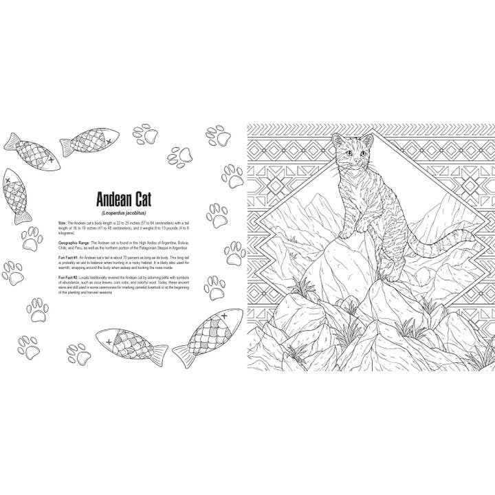 Penguin Random House LLC - Wholesale Coloring Book - Kids & Baby - Cats: A Smithsonian Coloring Book