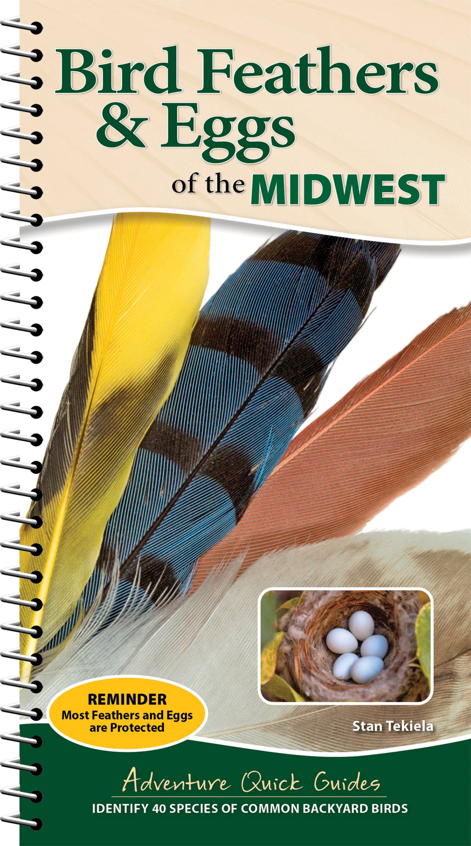 AdventureKEEN - Wholesale Nature & Outdoors - Bird Feathers & Eggs of the Midwest Quick Guide0