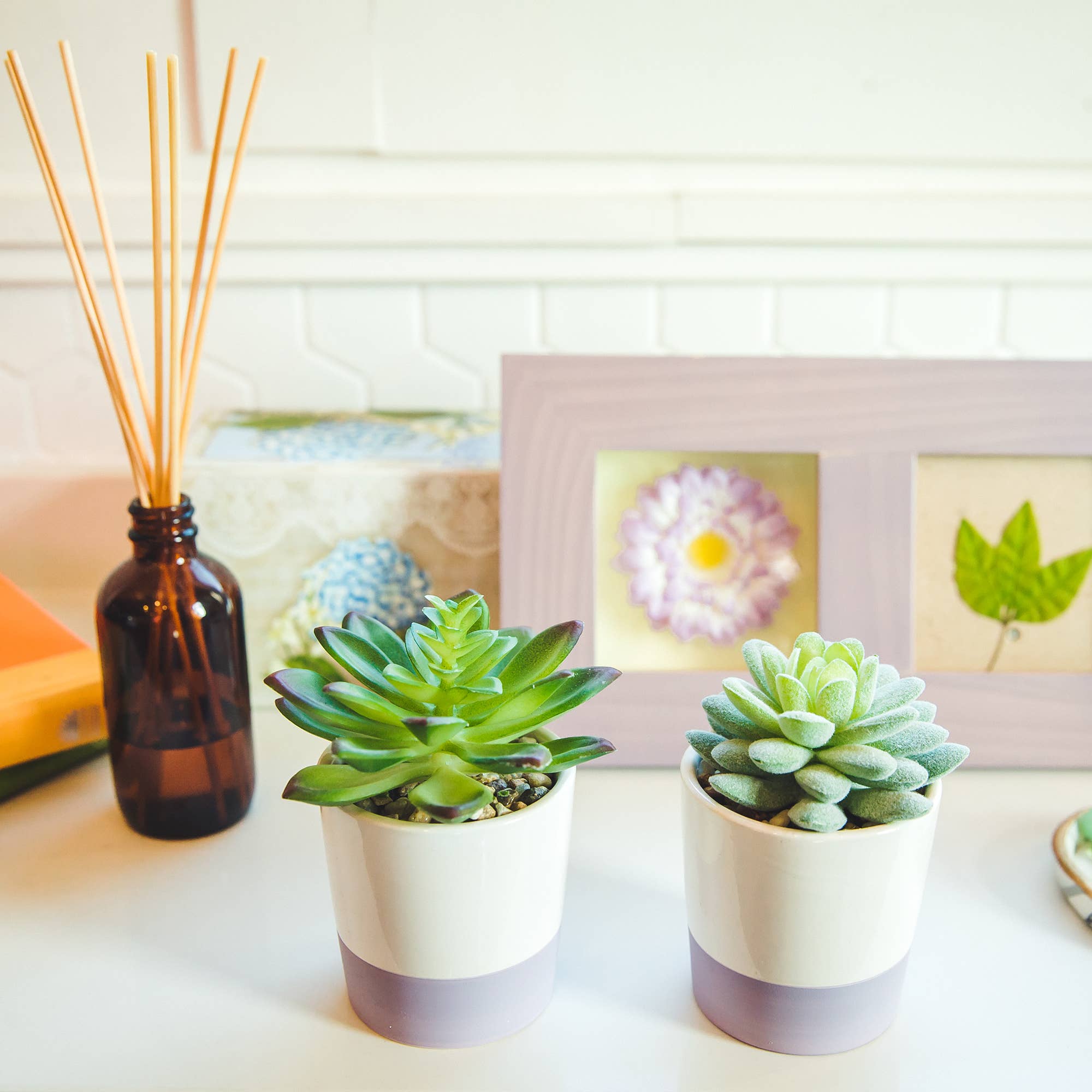 Flora Bunda Inc - Wholesale Artificial Plant - Set of 2 Faux Succulents in Lavender & White Pots2
