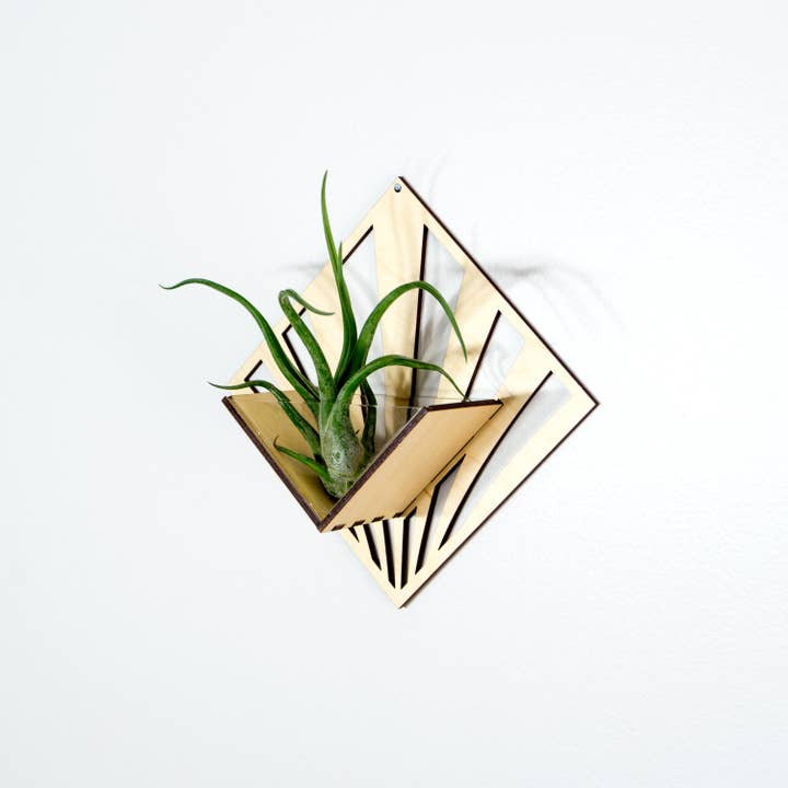 LIGHT RAZOR DESIGN STUDIO - Wholesale Wall planter - Air Plant Holder / Quadrate Wall Hanging Planter 297