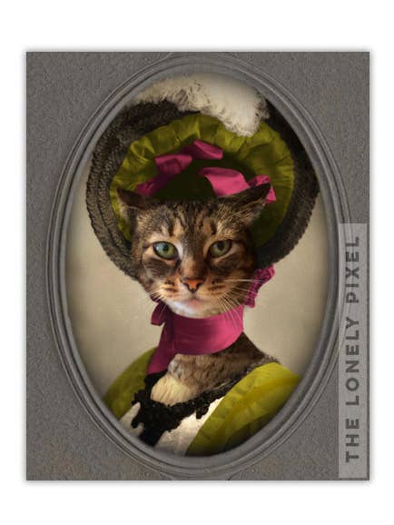 Lady Annie of Savannah - 8x10 Signed Cat Photo Print for wholesale by The Lonely Pixel