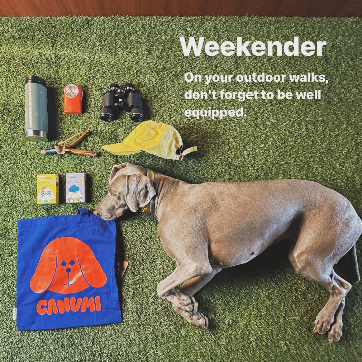 Canumi - Wholesale Retailer Display - Pets - PACK Available only for the US3