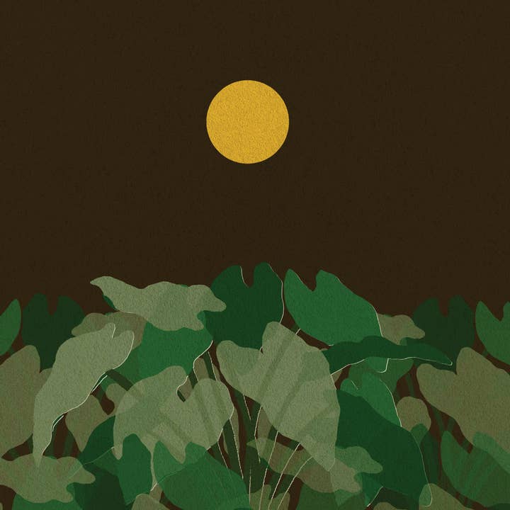 Kalo for wholesale by Prowlanu