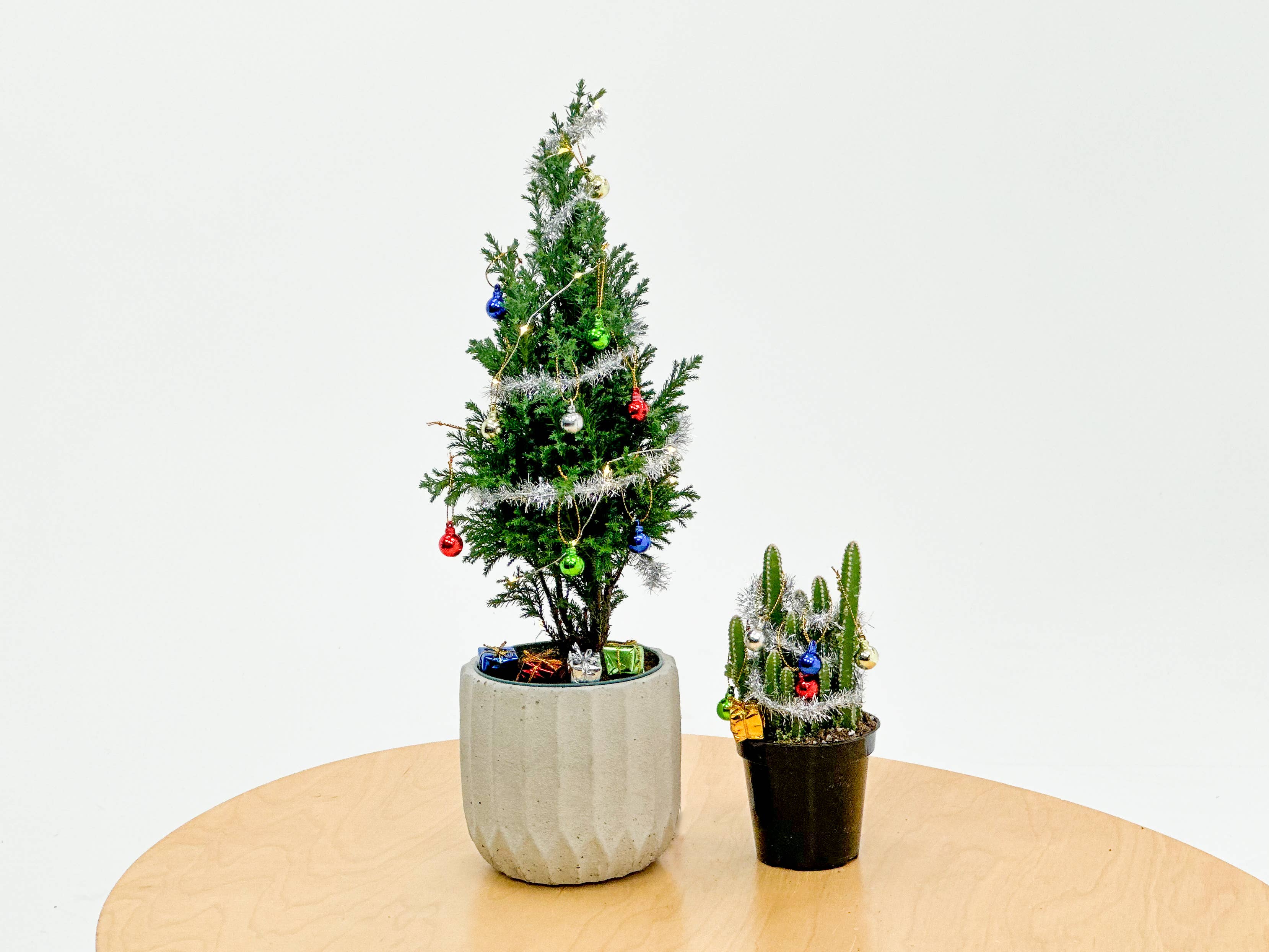 The Plant Supply - Wholesale Christmas Decoration - Plant Decoration Kit With Working Christmas Lights1