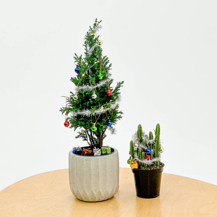 The Plant Supply - Wholesale Christmas Decoration - Plant Decoration Kit With Working Christmas Lights1