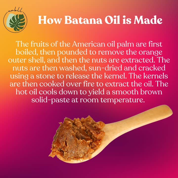 Urbll - Wholesale Scalp/Hair Treatment - 100% Pure Raw "Virgin" Batana Oil for Radiant Hair & Skin5