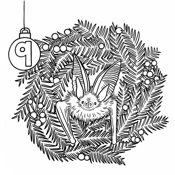 Wild Lines - Wholesale Coloring & Activity Book - Kids & Baby - Wild Advent Colouring Book - Kids Advent Calendar Activity6