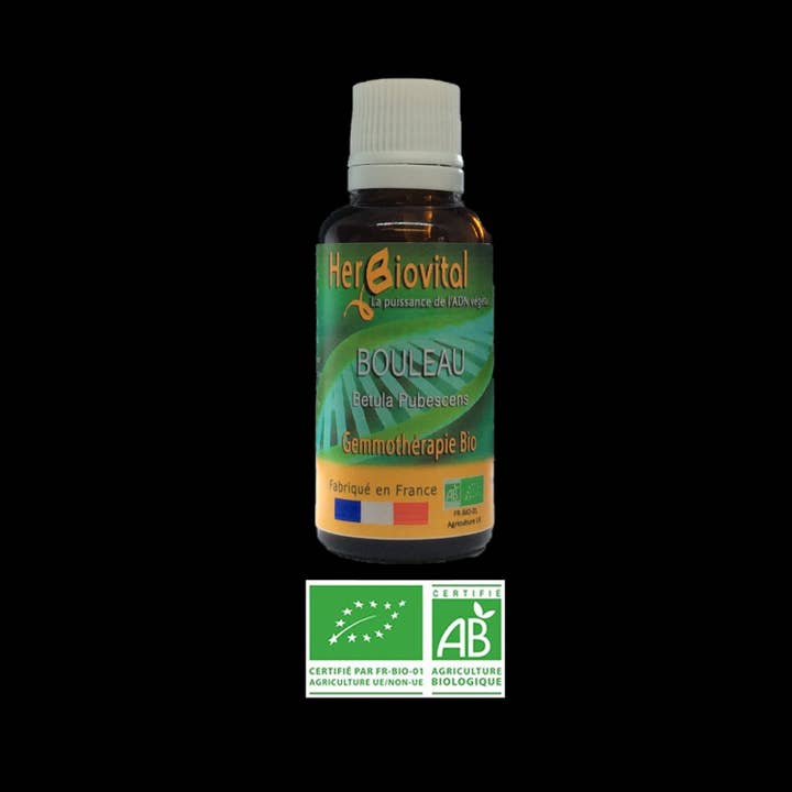 Organic Birch - Macerate Sanitizer for wholesale by HERBIOVITAL