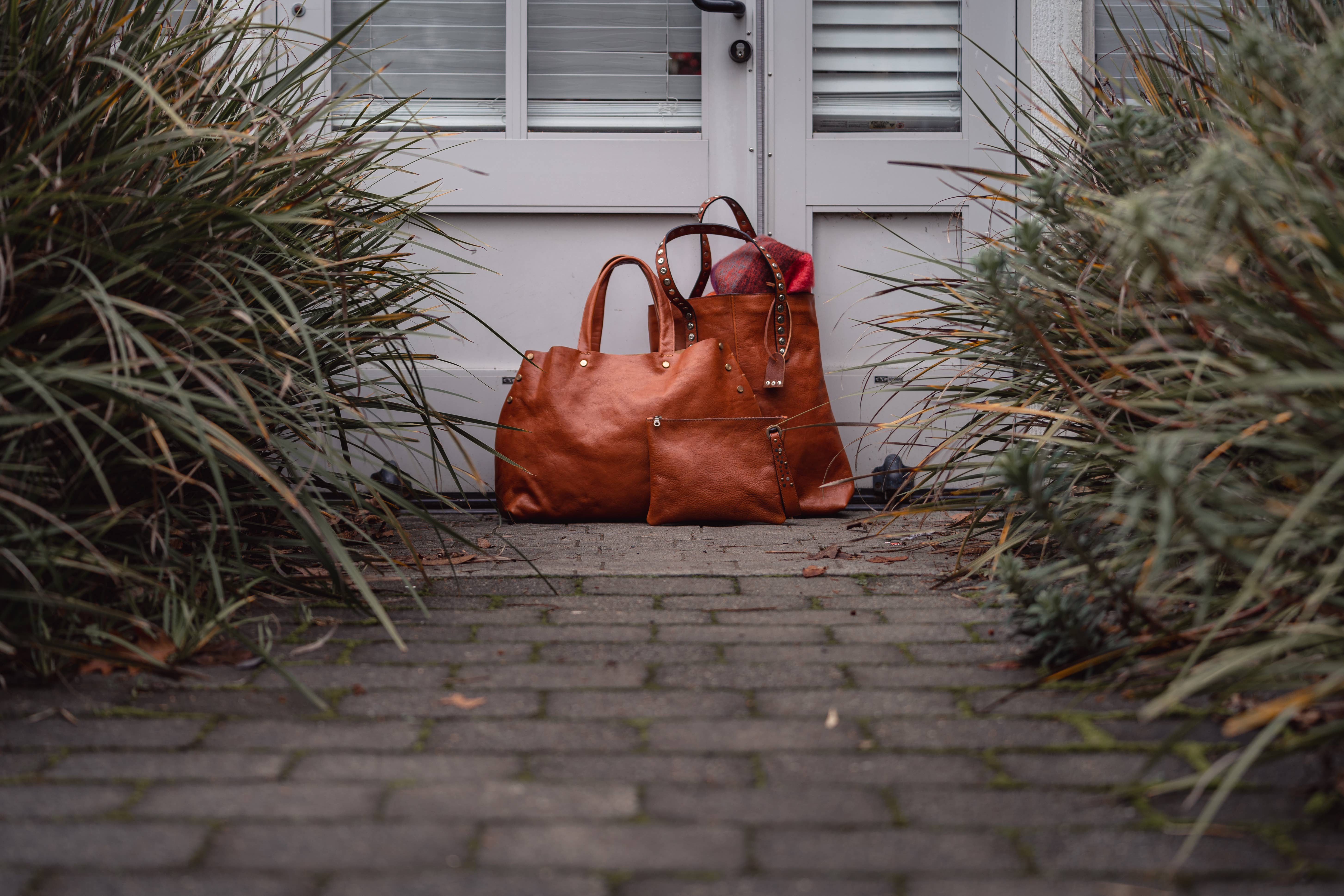 chloe & lex purses