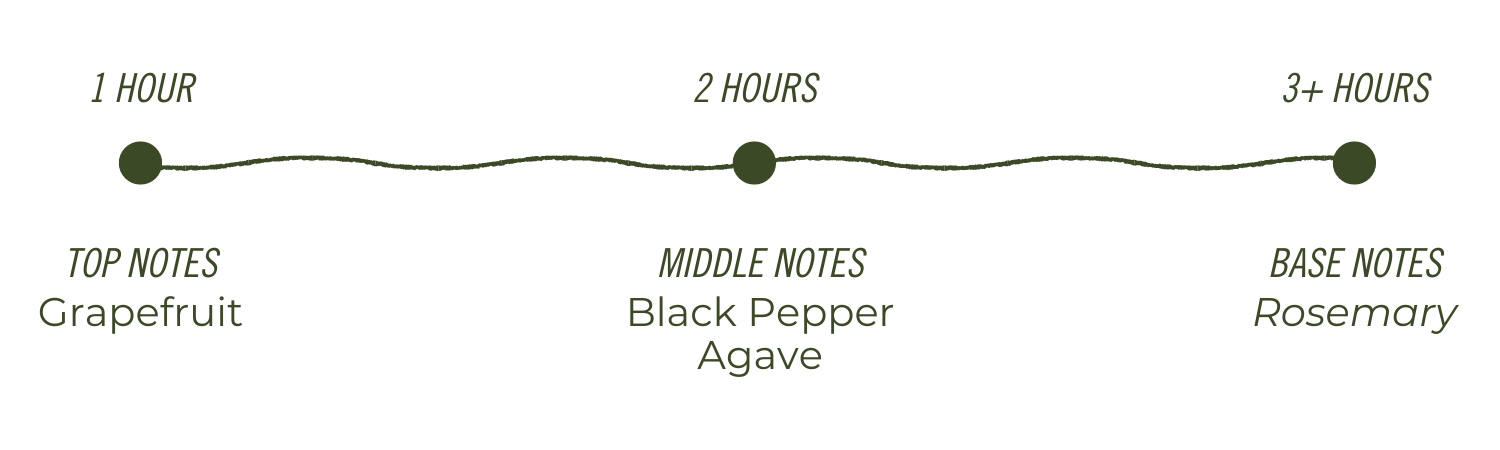 Temazcal Life® - Wholesale Jar/Filled Candle - Paloma Negra Soy Candle Jar | Grapefruit Agave | 9 oz1