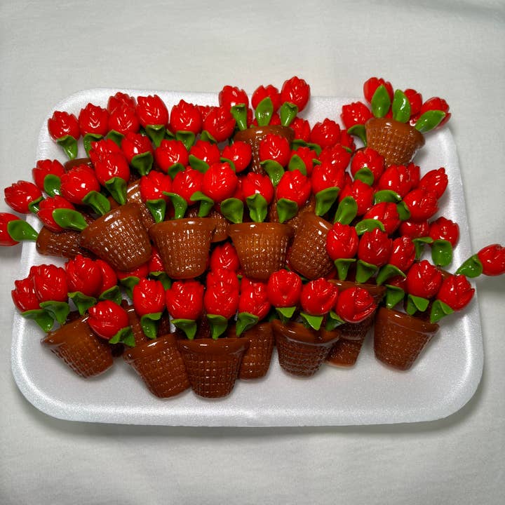 Roses in a Pot Magnet for wholesale by Magnets Market