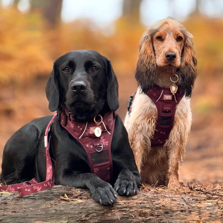 Bramble & Co - Wholesale Pet Leash - Dog - Swivel Lead - Wild berry Woodland1