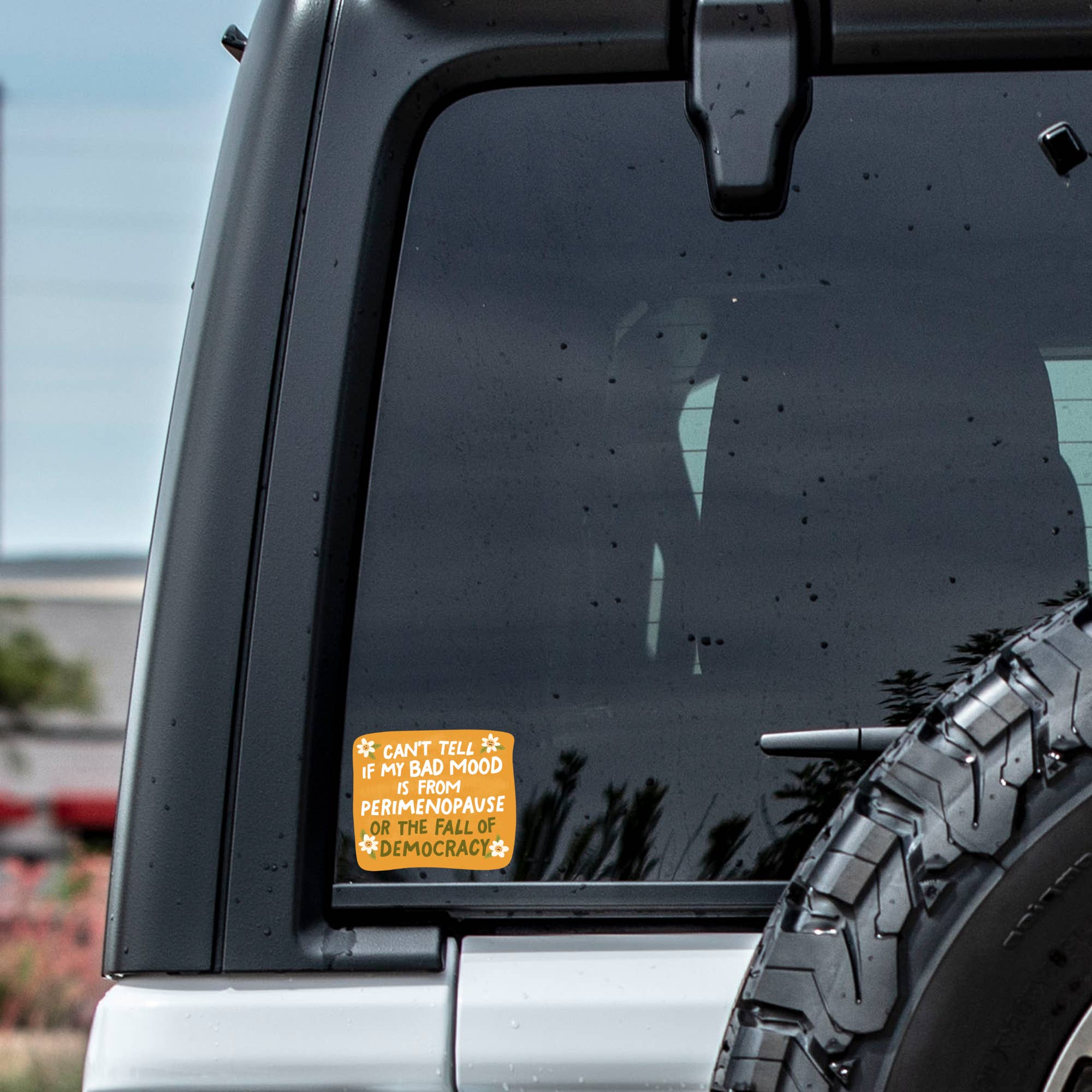 Juju and Moxie - Wholesale Sticker - Women Politics Perimenopause High Quality Vinyl Sticker3