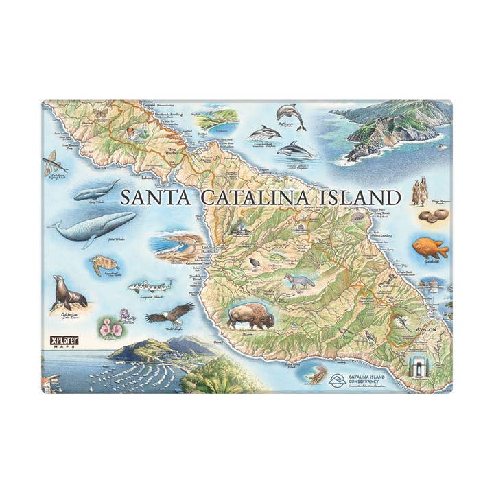 Iman Mapa Isla Santa Catalina para venta al por mayor de XPLORER MAPS