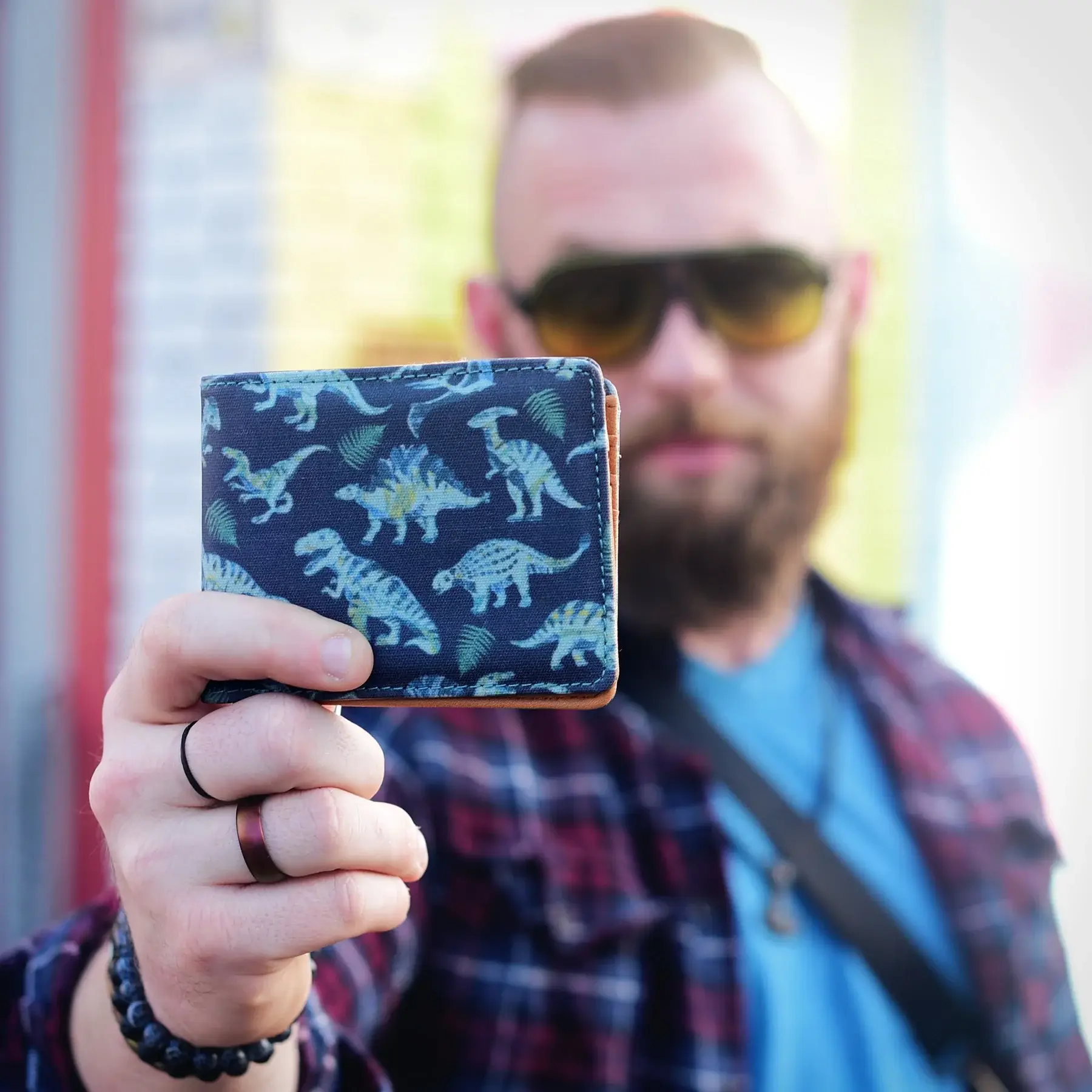 Sipsey Wilder – Großhandel Brieftasche – Damen – Jumping Spiders Faltbrieftasche8