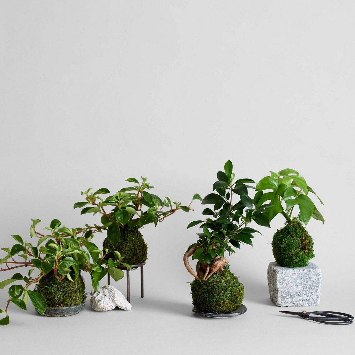 Bloomist - Wholesale Decorative Tabletop Object - Granite Stand9