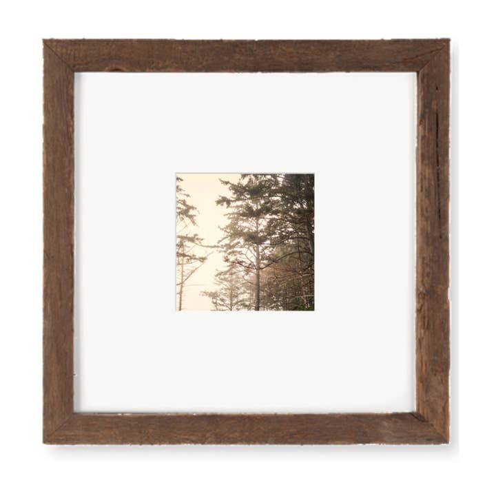 Trees and Sky Rialto Beach Analogs — 10x10 Framed Print for wholesale by The Studio