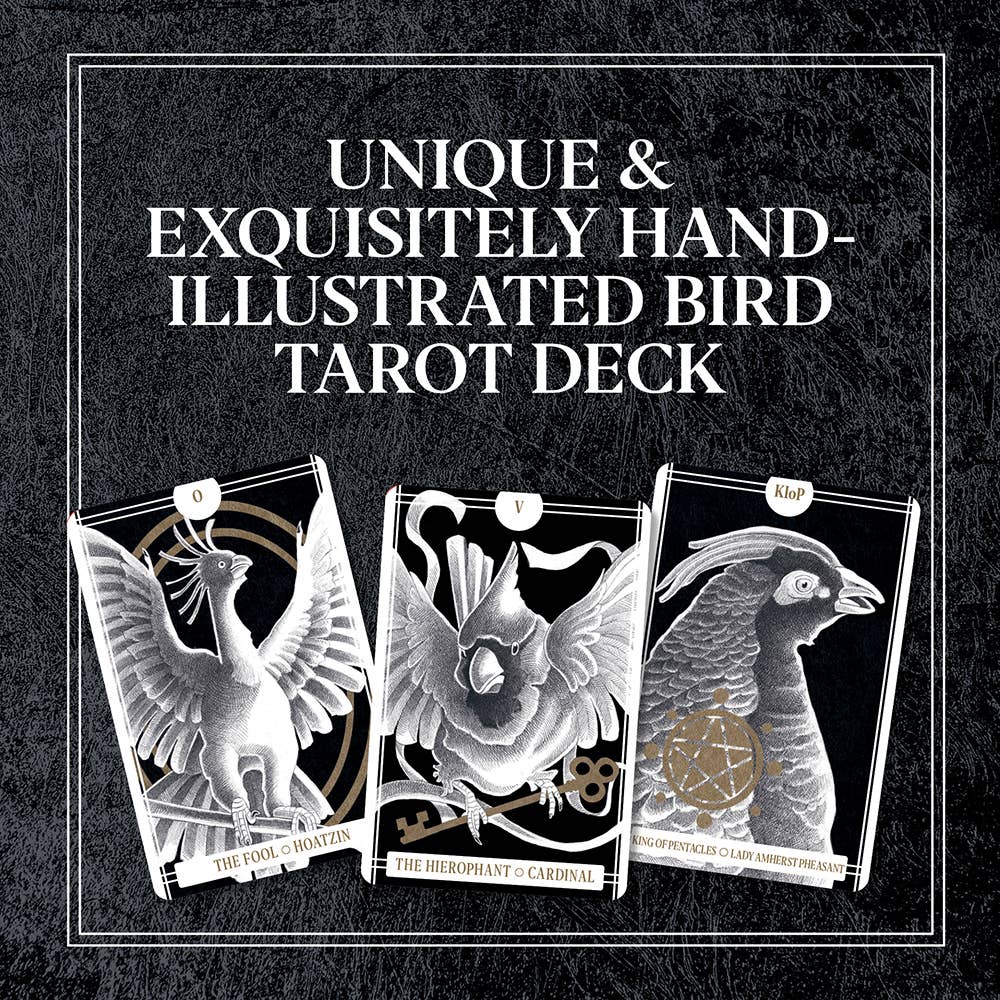 Chronicle Books - Wholesale Tarot Cards - Avian Tarot1