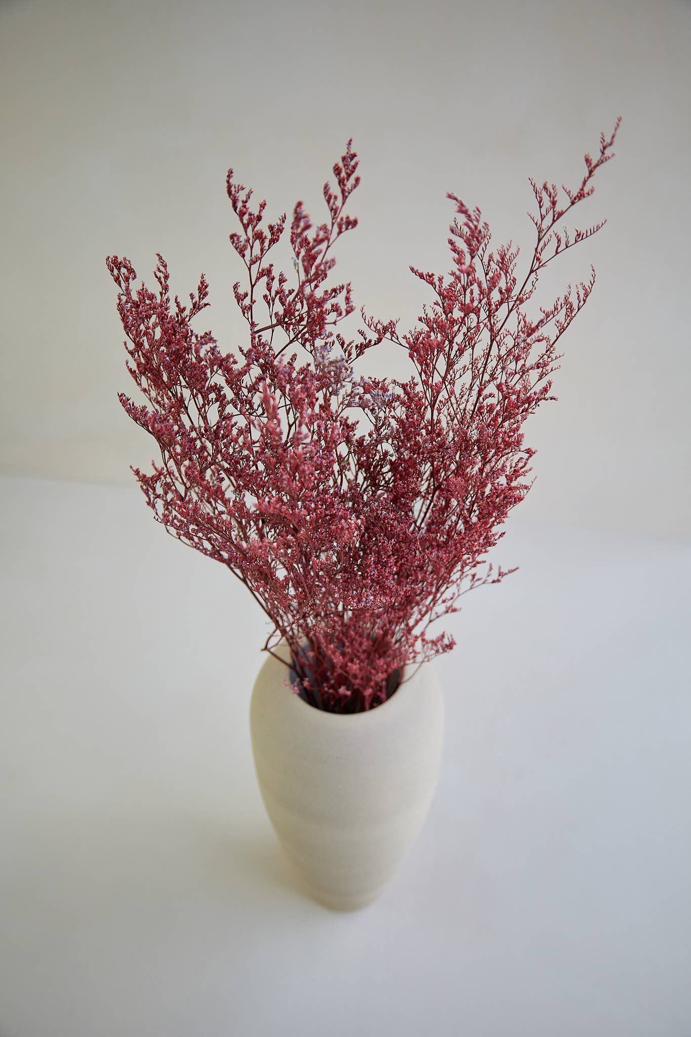 For Love Of Pampas - Wholesale Dried/Pressed Flowers - Limonium Branches in Red2