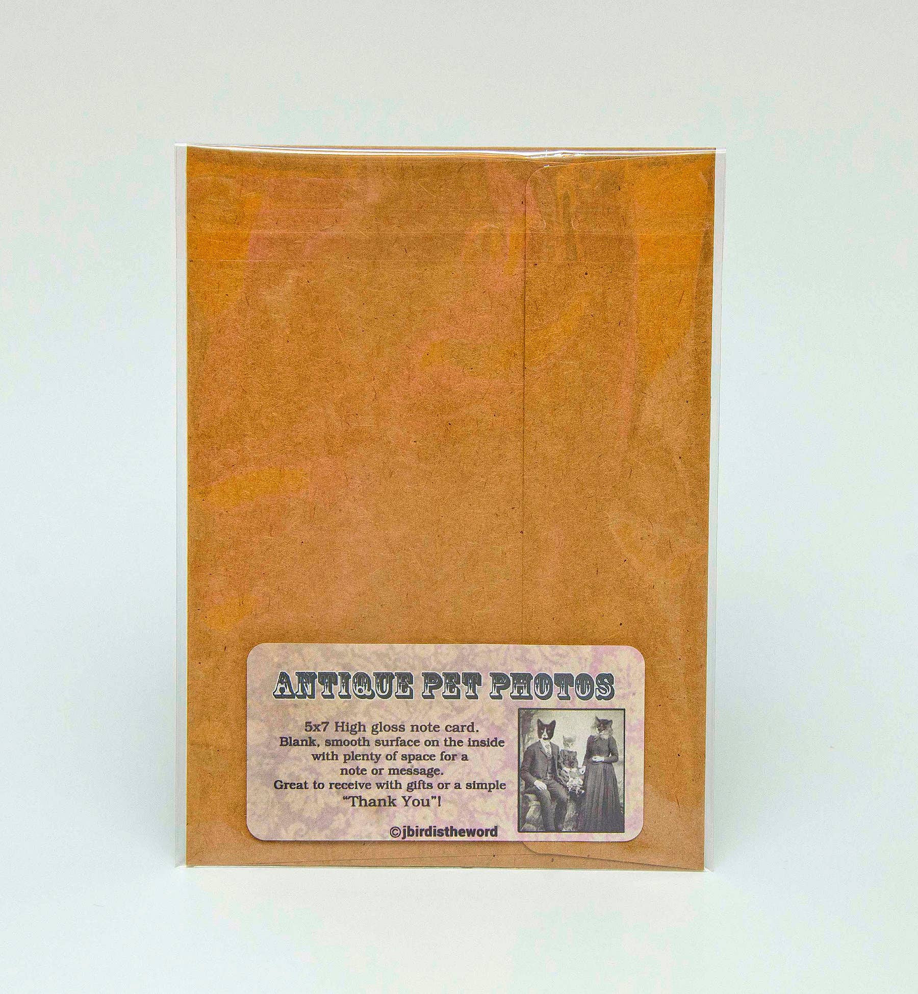 The Wild Oddisorium - Wholesale Everyday Greeting Card - Owl Note Card Grandfather Papa Bird Lover Nature Animals1