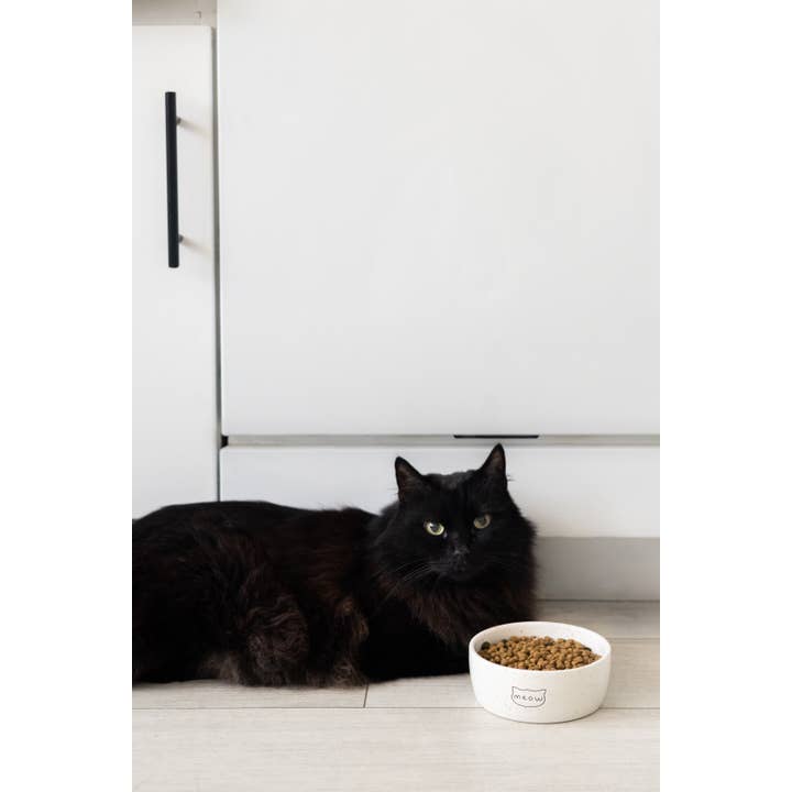 Pearhead - Wholesale Pet Bowl - Cat/Dog - Speckled Cat Bowl, Water or Food Pet Dish, Small5