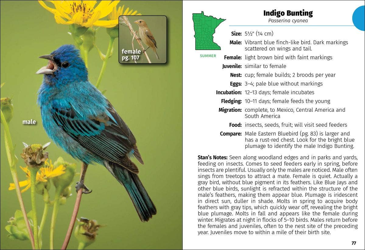 AdventureKEEN - Wholesale Nature & Outdoors - Birds of Minnesota Field Guide 3e3