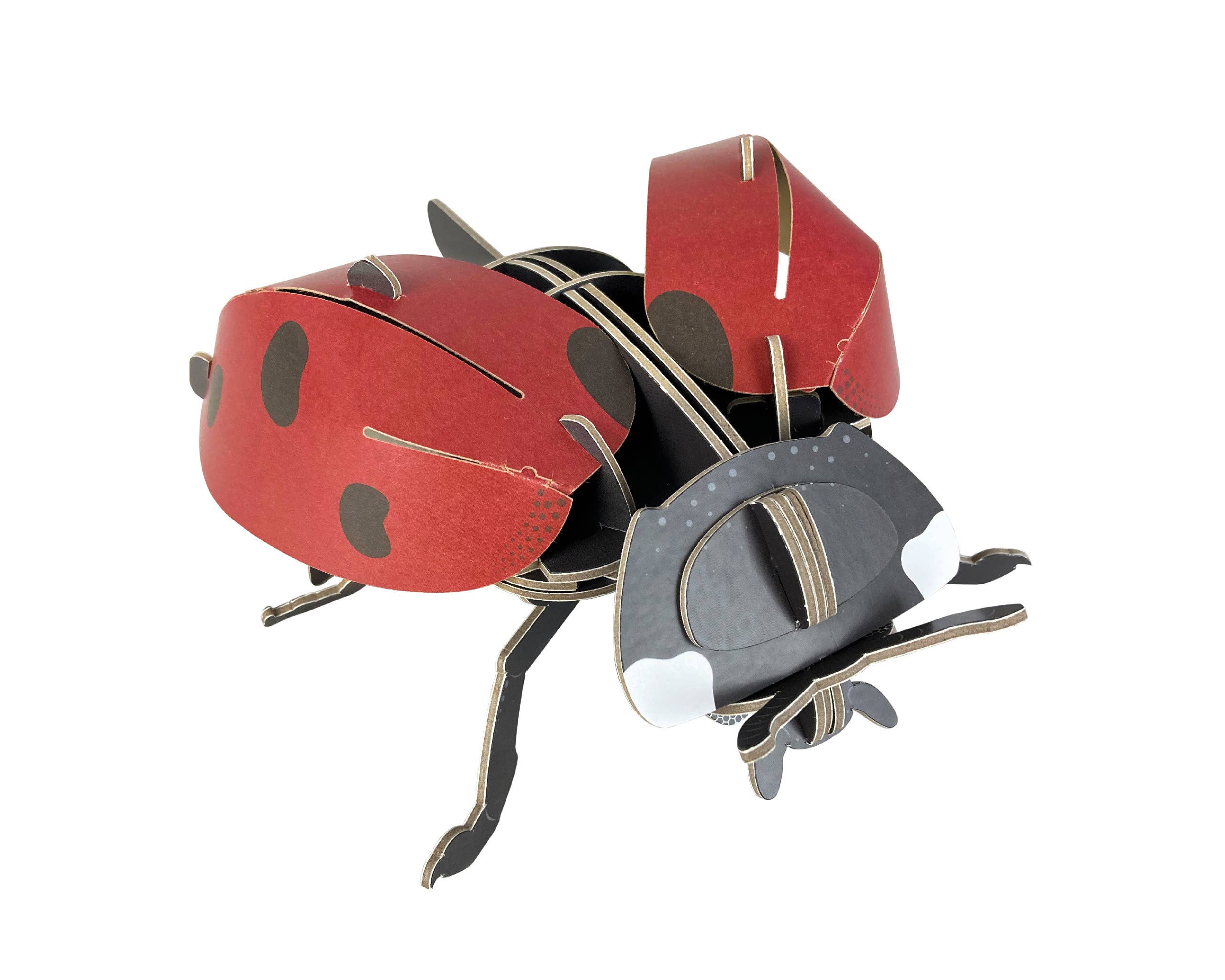 Build Your Own - Wholesale DIY Craft Kit - Kids - Build Your Own Ladybird - Eco-Friendly Cardboard Craft Kit0