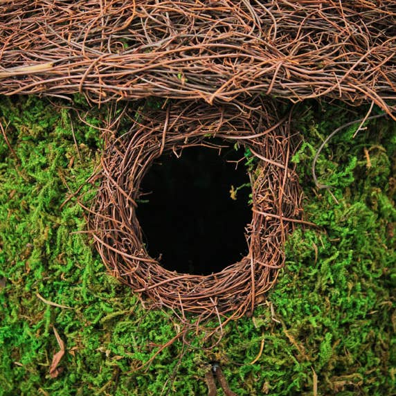 SuperMoss - Vente Nichoir - Nichoir tissé Bungalow, vert frais