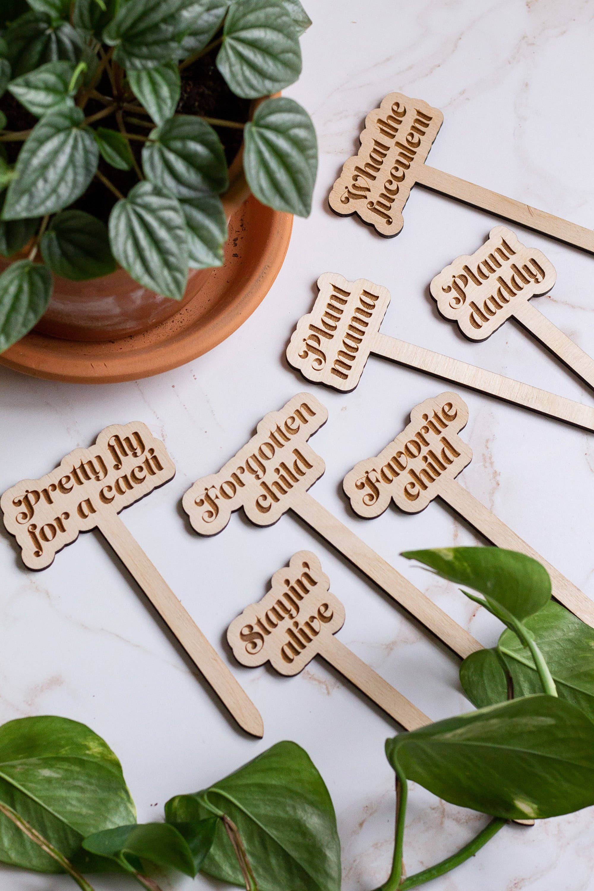 The Print Pantry - Wholesale Garden/Lawn Stake - Funny Wooden Plant Markers8