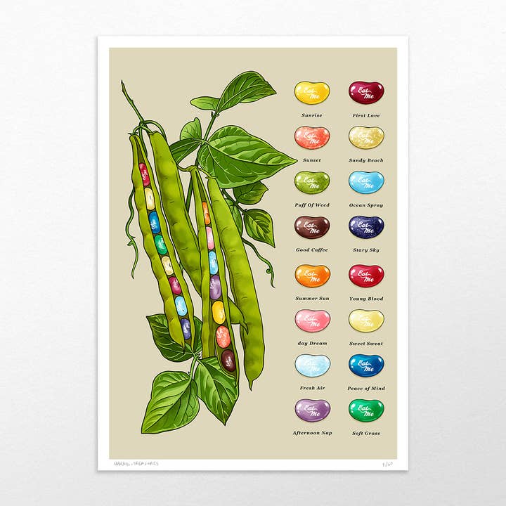 Frijoles Mágicos| Impresión de Bellas Artes para venta al por mayor de Useless Treasures