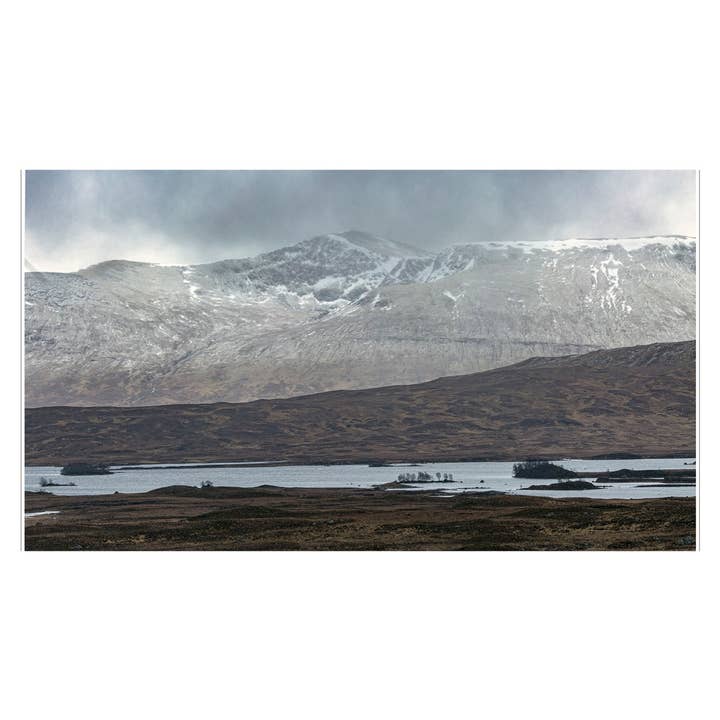 Penguin Random House LLC - Wholesale History & Geography - Scotch1