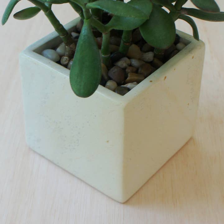 Natural Square Planter for wholesale by Venture Imports LLC
