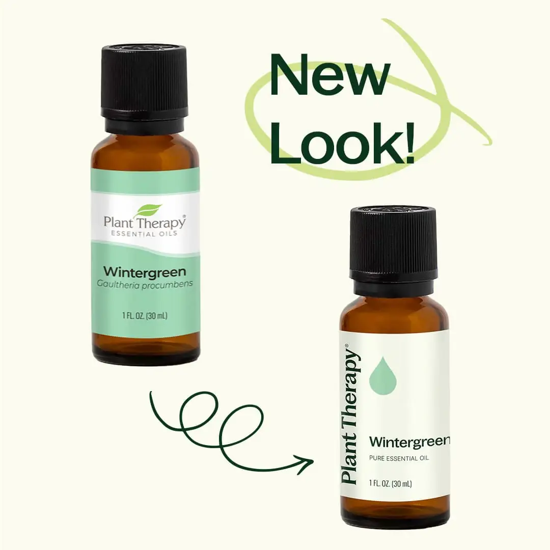 Plant Therapy - Wholesale Essential Oil - Wintergreen Essential Oil 30 mL5
