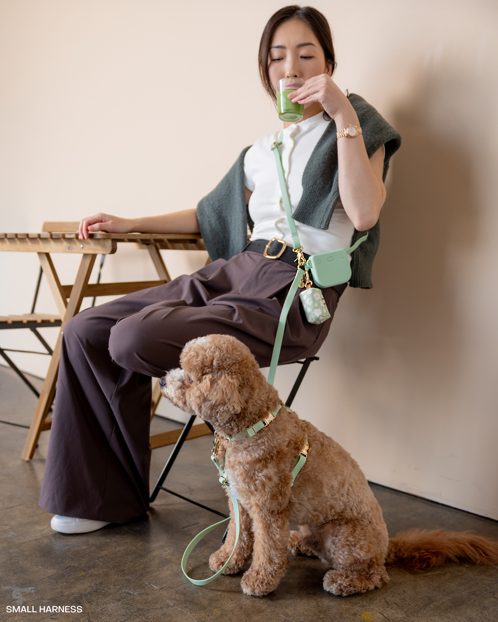 SUNNY TAILS - Wholesale Pet Harness - Dog - Pistachio Green Cloud Lite Dog Harness9