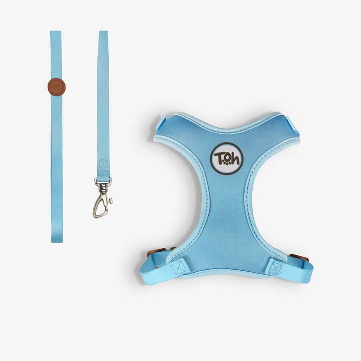 Conjunto de Arnês em H Confortável para Gato + Trela Azul and other Purchase Wholesale botato kartoffelpuree. Free Returns & Net 60 Terms on Faire trending on Faire.