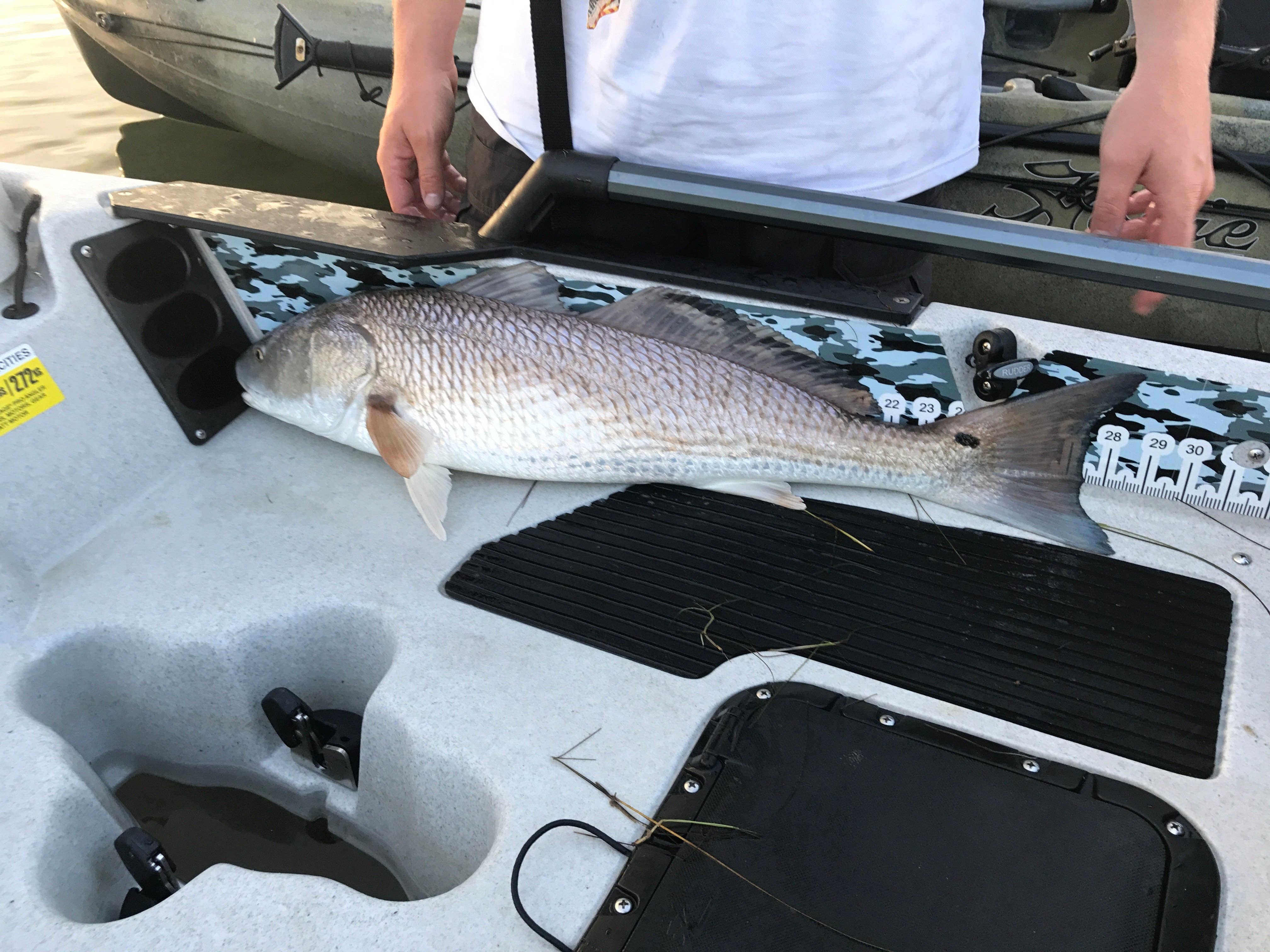 Real Sticky – wholesale Sporting accessories – PA 14 Fish Ruler Snow Camo2