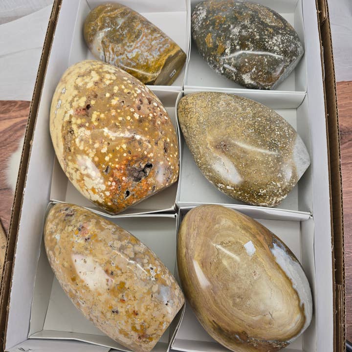 6 pièces de formes libres en jaspe océan ~ Cristaux polis ~ En vrac pour la vente par Aquamarine Daydream Wholesale