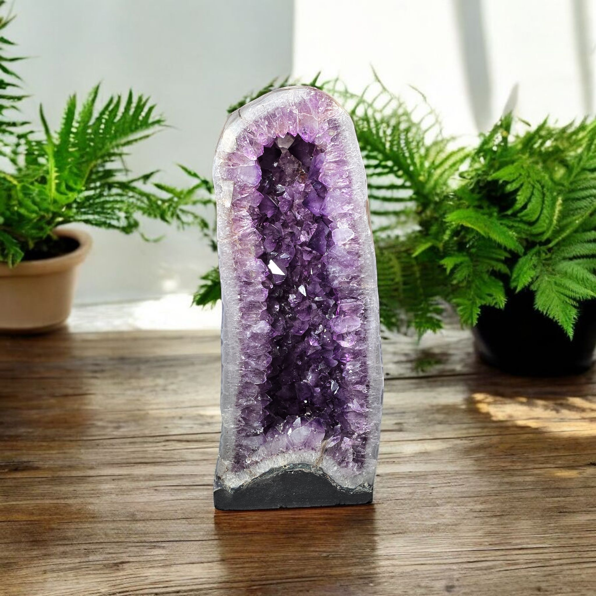 Rock Paradise - Wholesale Spiritual Stone/Crystal - Amethyst Crystal Cathedral Natural Back Rare Find #20