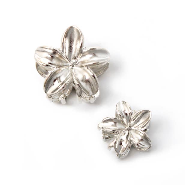 Inca UK – wholesale Hårklämma - Dam – Litet set med metallblomklämmor