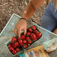 Purely Sprouted - Wholesale Granola - Original Vanilla Cinnamon Organic 8 oz bag2