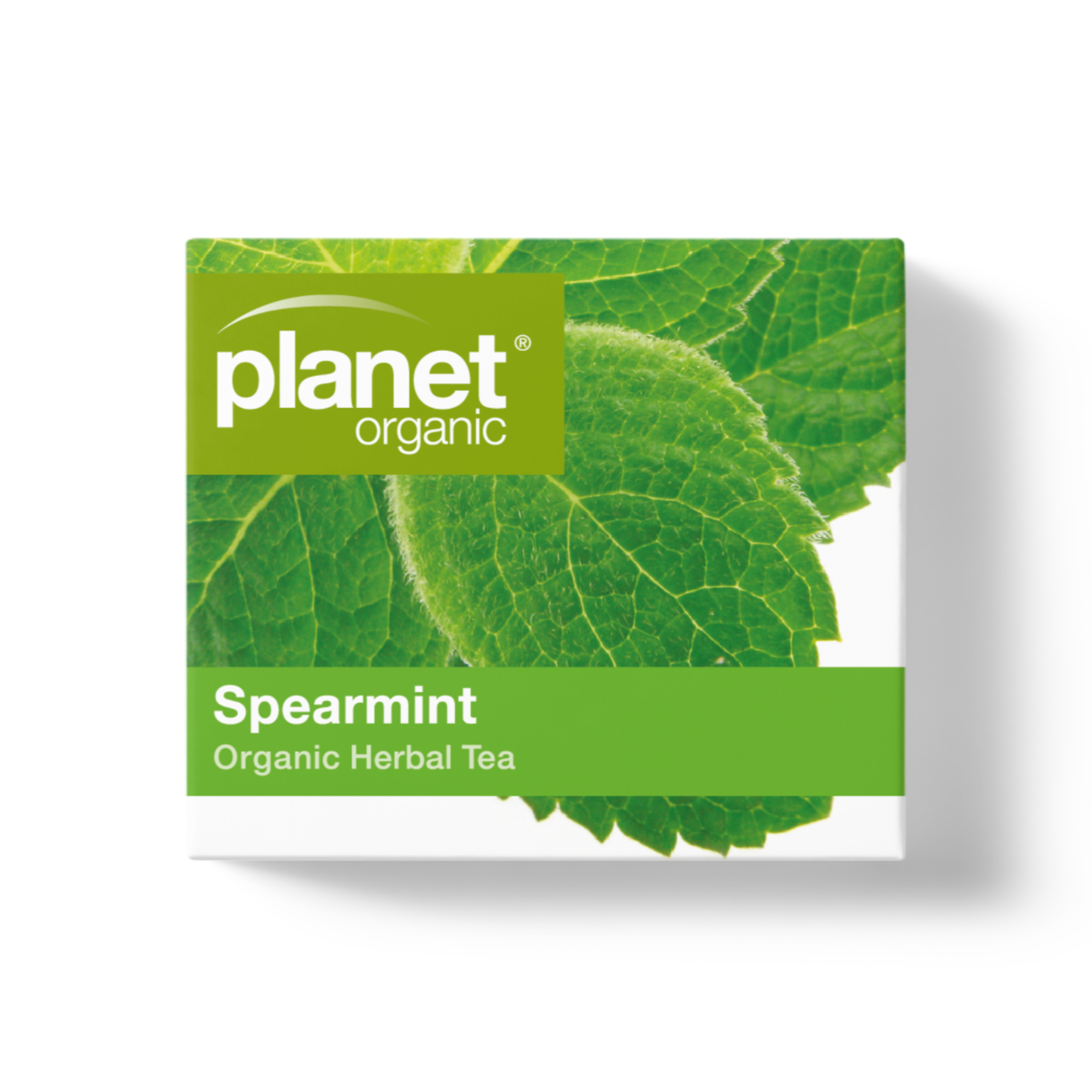 Planet Organic - Wholesale Tea Bags - Spearmint Tea Bags3
