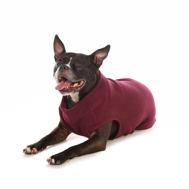 Dog Fleece for wholesale by Doodlebone