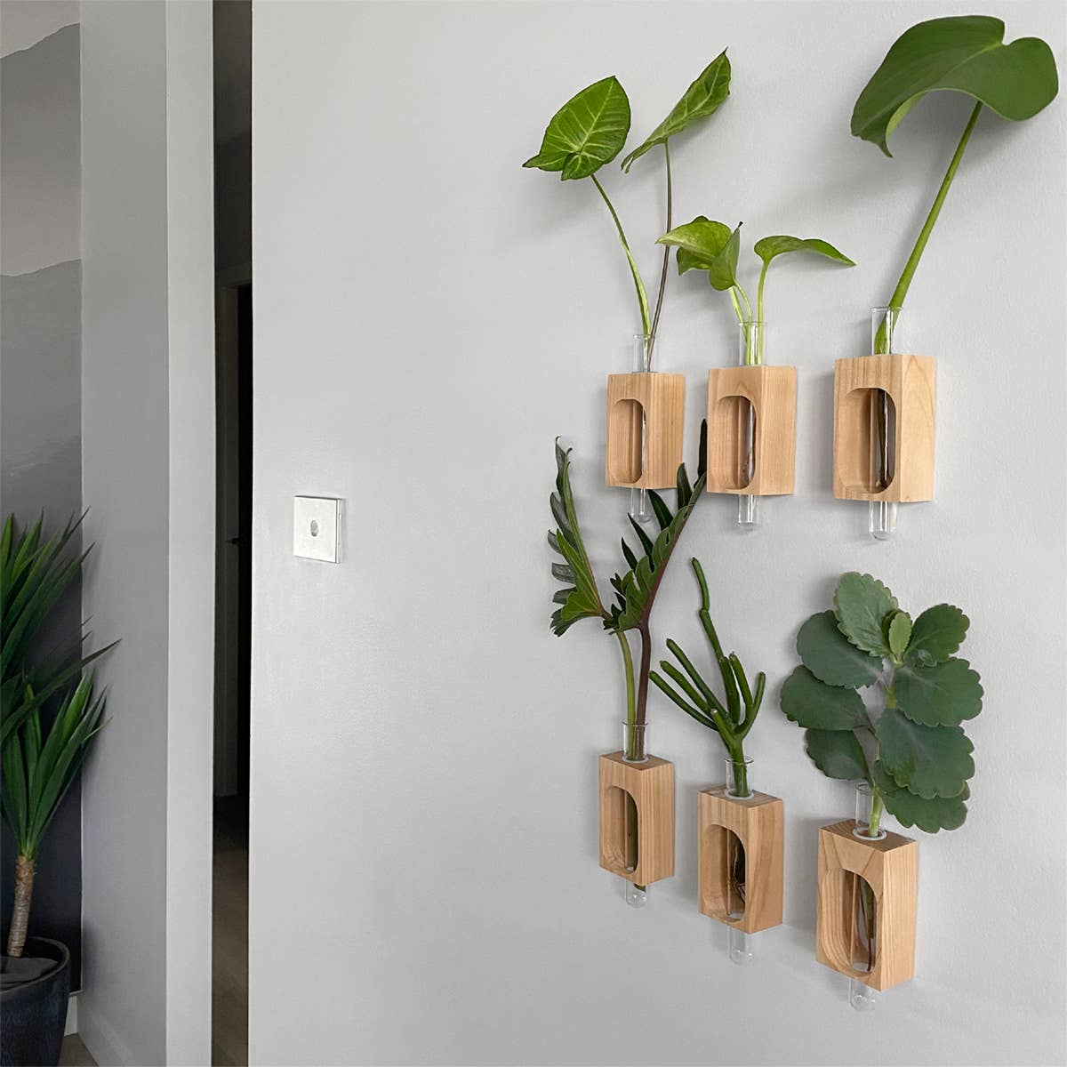PRINT AND PROPER - Wholesale Hanging Planter - Plant Propagation Station. Wall Mount Test Tube Plant Holder3