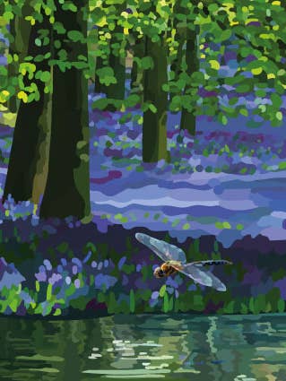 291C Dragonfly/Periodic Society/Carte de voeux pour la vente par Periodic Society