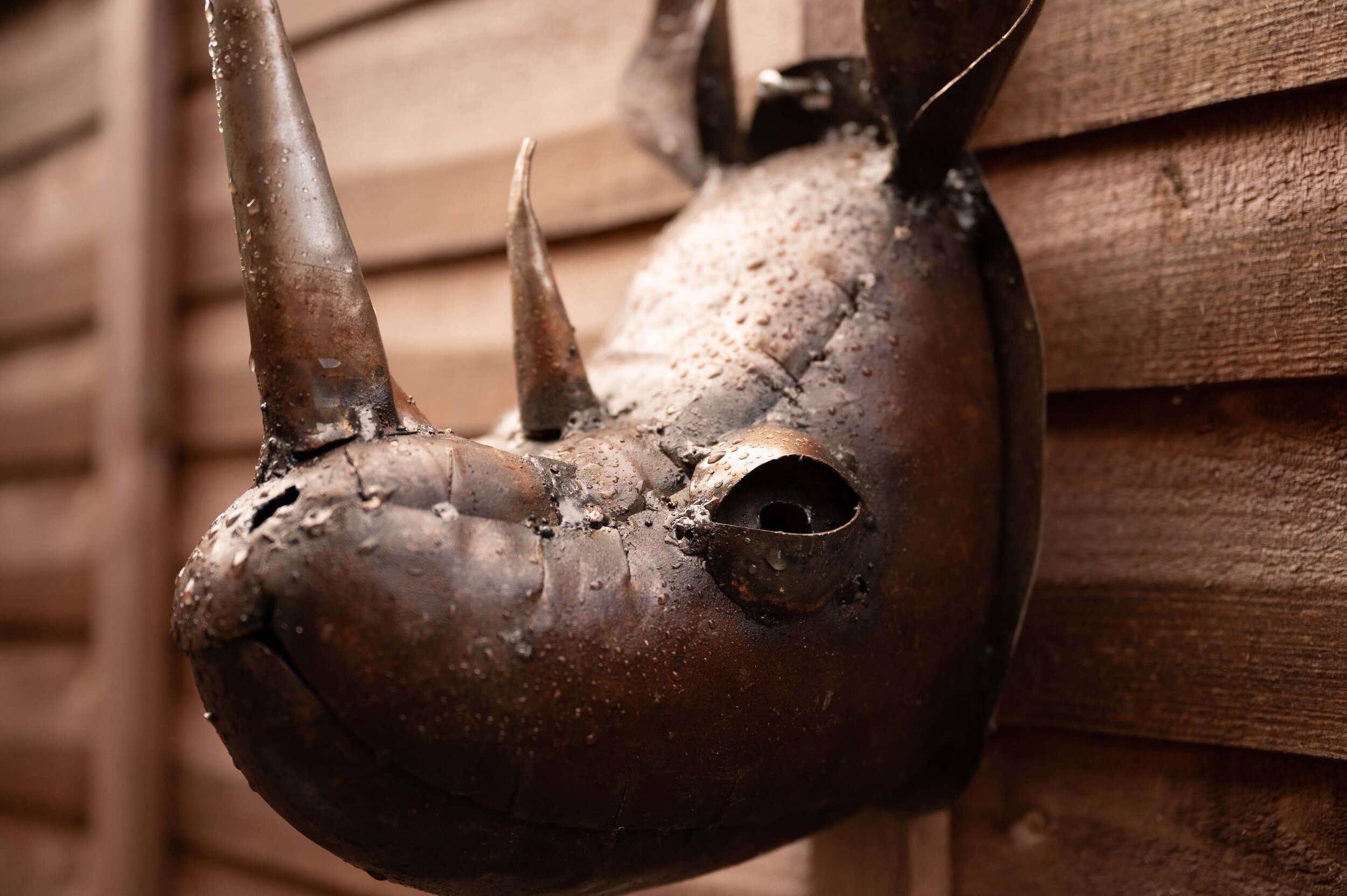 chi-africa – Engroshandel Udendørs pynt/dekoration – Genbrugt Metal Havekunst - Næsehornshoved2