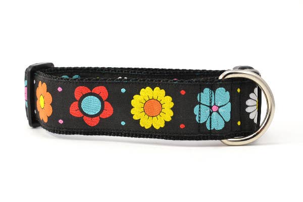 six point pet - Vente Collier – chat - Daisy Chain-Noir9