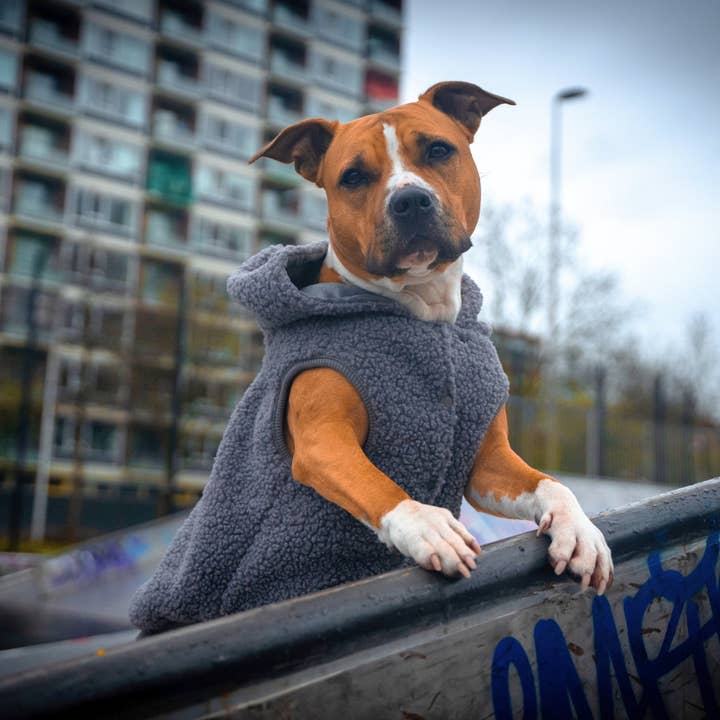 Spark Paws - Vente Veste – chien - Veste en teddy sherpa pour chien - gris2