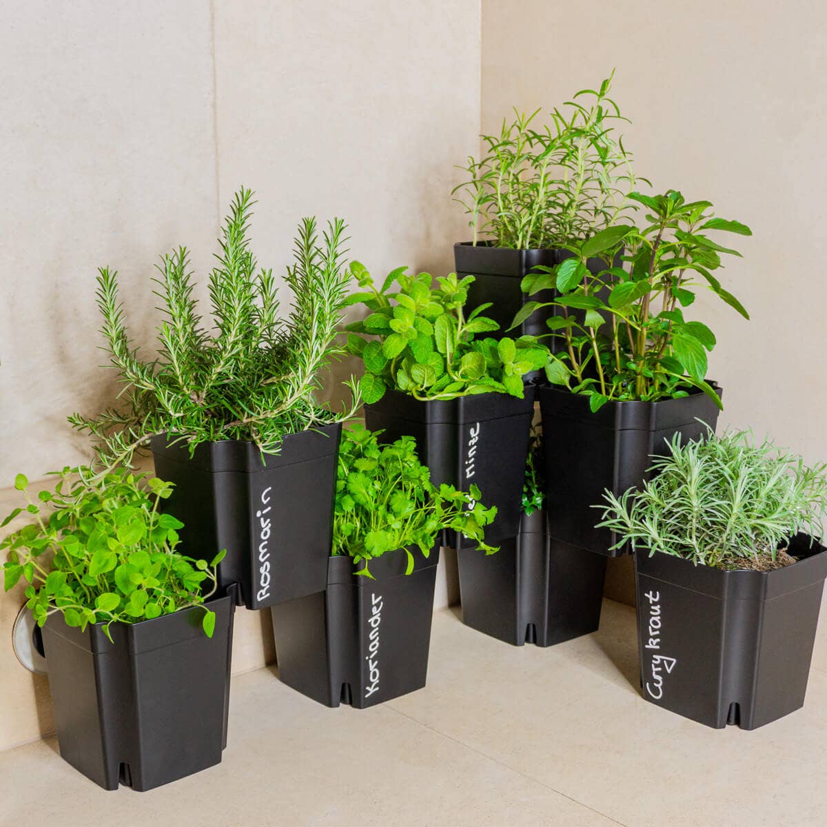 Io Nova – Großhandel Blumentopf – FlexiFlora – Modulares Pflanzsystem | 16er Set2