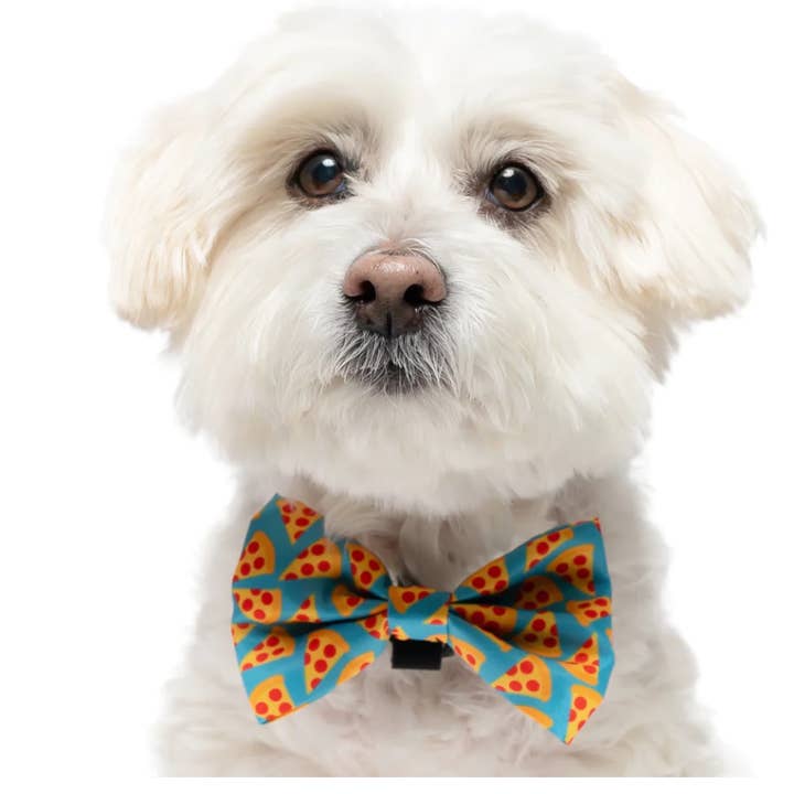 TEAL PIZZA - COLLIER POUR CHIEN pour la vente par DAPPER DEXTER